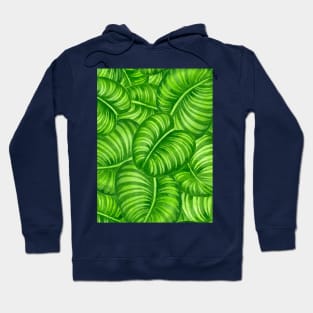 Calathea leaves Hoodie